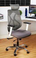 Amazon Brand - Solimo Comber High Back Mesh Office Chair (Grey & White)