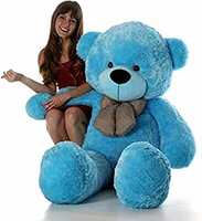 TEDSTREE Skin Friendly Lovable & Huggable 2 Feet Blue Super Soft Teddy Bear for Girlfriend/Birthday Gift/Boy/Girl (Blue, 2 Feet/60cm)