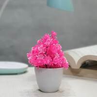 Decorating Flowers Starting from @ Rs 84  (Upto 76% off)