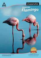 Classmate longbook a4 notebook single-line 240-pages Pack of 6