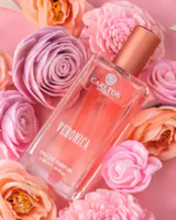 Carlton London Footwear , Watches , Perfumes & Accessories at Upto 87% off || Min 70% off