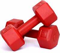 FitBox Sports 2kg Hexa PVC Dumbbells (1kg x 2) RED