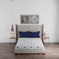 Trident Comfort Living 120 Thread Count 100% Cotton Bedsheet, Queen Size, Beachway Blue