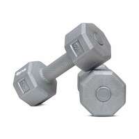 FitBox Sports Exclusive Blend Dumbbells 4kg Anti Slip Anti Rolling Dumbbells Set (2kg x 2) Steel Gray
