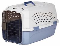 AmazonBasics Two Door Top Load Pet Kennel (23-inch) 