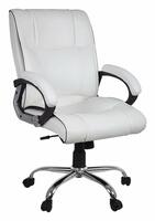 Townsville Bloom Leatherette Medium Back Executive Chair (White)