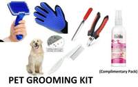 Hachiko High Quality (Combo Of 4) Imported High Quality Slicker + Nail Clipper + Hair Comb + Gloves +With Complimentary Pack of Dog Perfume Deodorant. Grooming Kit For All Breed Dog, Cat, Rabbit, Hamster