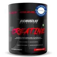 Bigmuscles Nutrition Creatine [50 Servings, Unflavoured] 