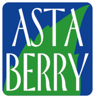 Astaberry : Pre Monsoon Sale Buy 1 Get 1 