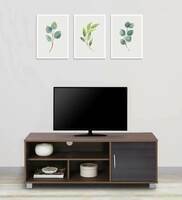 Erity TV Console for TVs up to 43"in Sonoma Oak Finish