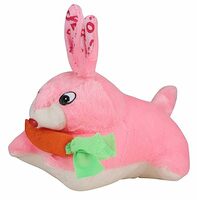 Mommers Rabbit with Carrot Stuffed Lovely Soft Toy (26CM - MM_1001) - Pink
