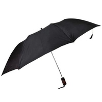 Black Polyester UV Coated 2 Fold Umbrella, By The Purple Tree