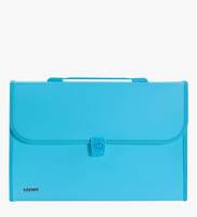 Amazon Brand - Solimo Expanding File Folder with 13 Pockets, Handle, and Buckle Closure, for A4 Size Documents (Blue)