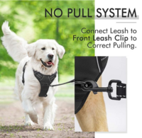 Lowest | WapaW Dog Harness No-Pull Pet Harness Adjustable Outdoor Pet Vest 3M Reflective Oxford Material Vest for Dogs Easy Control for Small Medium Large Dogs (Small, Black)