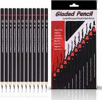 ABOUT SPACE Professional Shading & Drawing Pencils Set - (12 Lead Pencils) Assorted Gray-Black Sketching Pencils of 12 Shades for Artists, Students, Beginners - (B,2B,3B,4B,5B,6B,7B,8B,HB,H,2H & F)