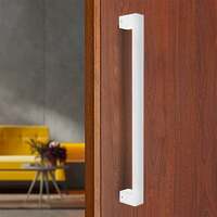 IPSA GP 251 Stainless Steel Pull Handle 450MM