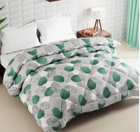 Bianca Microfiber Comforter 80% Off