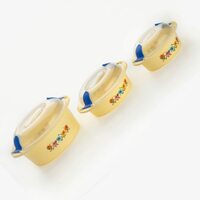 Suzec Hot N Fresh Insulated Plastic Casserole Gift Set (3 Pieces, Multicolor)