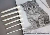 Norocme 12 PCS Blending Stumps and Tortillions Paper Art Blenders with Sandpaper Pencil Sharpener Pointer for Student Artist Charcoal Sketch Drawing Tools