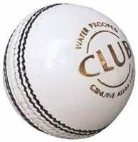 HTM Club Cricket Leather Ball