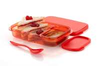 LEAWALL Unbreakable Divine Lunch Box Set Food Grade Plastic BPA-Free Storage Tiffin Dip Container & Spoon for Kids School and Adults Office Travel Use Reusable