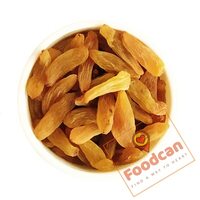 Foodcan Raisins 1 Kg Original Afghani Kismis Dakh Green Long Size (Kishmis) Seedless 1 Kg