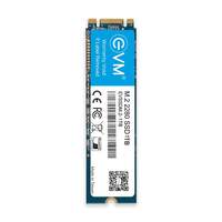 EVM M.2 (2280) 1TB SSD - Fast Performaning SATA Internal Solid State Drive