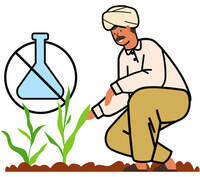 500ml Milk/Curd/Paneer free @ Akshayakalpa (Sample)