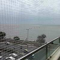 ARMORX White Anti-Bird Net UV-Stabilized HDPE Multi-Filament Net with Installation Kit & Tying Ropes Attached - White - 4ftx12ft 