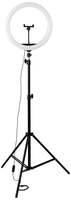 Amazon Basics LED Ring Light (12-inch) with Tripod Stand, Hot Shoe Adapter and 3 Temperature Modes for YouTube, Photo-Shoot, Vlogging & More