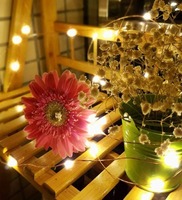  "Illuminate Your Life with Savings!  Get Lit with Our String Light Hot Price Deal - Brighten Your Space for Less!" 