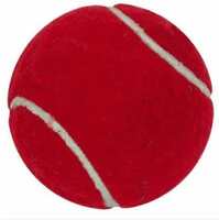Avalon HARD TENNIS BALL Cricket Tennis Ball  (Pack of 1)