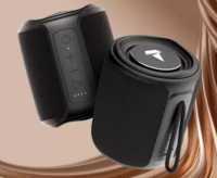 boAt Stone 350 10W Bluetooth Speaker 