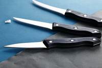 Ganesh Stainless Steel Kitchen Bold 3 pcs Knife Vegetable Cutting and Chopping Knife, Serrated Edge