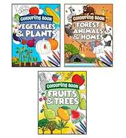 Storio Colouring Books for Kids (Set of 3 Books) - Gift to Children for Painting, Drawing and Colouring - Vegetables, Animals, Fruits - 3 to 6 Years Old