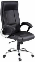 [Lowest] Amazon Brand - Solimo Brasov High Back Executive Chair (Black,Metal)