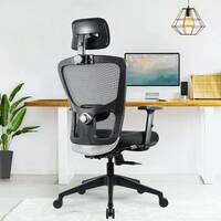 GREEN SOUL Jupiter Go High Back Support Mesh Office Adjustable Arm Chair(Black, Grey, DIY(Do-It-Yourself))