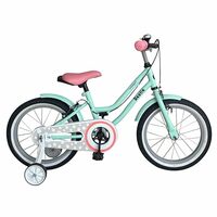 Beetle Bubblegum 16T Kids Bike, 10 Inch Frame, Turquoise Blue, Single Speed Steel Frame Bike with Support Wheels & Front Basket, Ideal for 5-7 Years Unisex, Height 3-4 feet