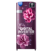 Lowest - SAMSUNG 223 Litres 3 Star Direct Cool Single Door Refrigerator with Anti-Bacterial Gasket (RR24C2Y23CR/NL, Camellia Purple)