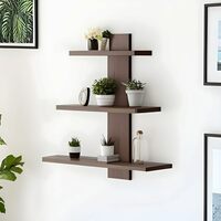 Dime Store Wall Shelves for Home Decor Items, Living Room and Bedroom