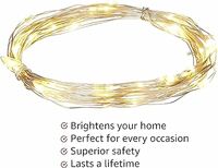 Solimo 10M 100 LEDs USB String Light for Decoration - Warm White(Copper)