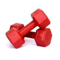 FitBox Sports 2kg Hexa PVC Dumbbells (1kg x 2) RED