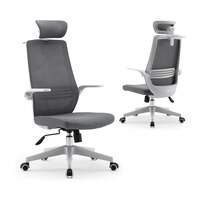 SIHOO M76A-M101 Ergonomic Office Chair, Breathable Mesh Desk Chair with Lumbar Support, 2D Headrest, Clothes Rack and Flip-up Arms, Swivel Task Chair, Adjustable Height Gaming Chair(Grey)