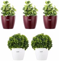  Amazon Brand - Solimo Round Planter, Set of 5 (Claret 3 Pc, White 2 Pc) 
