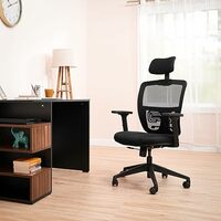 Amazon Brand - Solimo Trance High Back Mesh Contemporary Office Chair (Black)