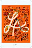 APPLE ipad Mini (2019) 256 GB ROM 7.9 inch with Wi-Fi+4G (Silver)