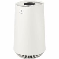 Electrolux Air Purifier with 4 stage filtration that removes bacteria (Apply ₹150 coupon)