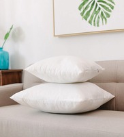 Cotton Filled Cotton 16 x16 Inch Cushion Inserts (Set of 2), By Home Attire