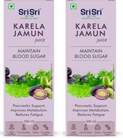 Sri Sri Tattva Karela Jamun Juice_2  (2 x 1 L)