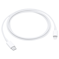 Apple Type C to Lightning 3.3 Feet (1M) Cable (Sync and Charge, White)